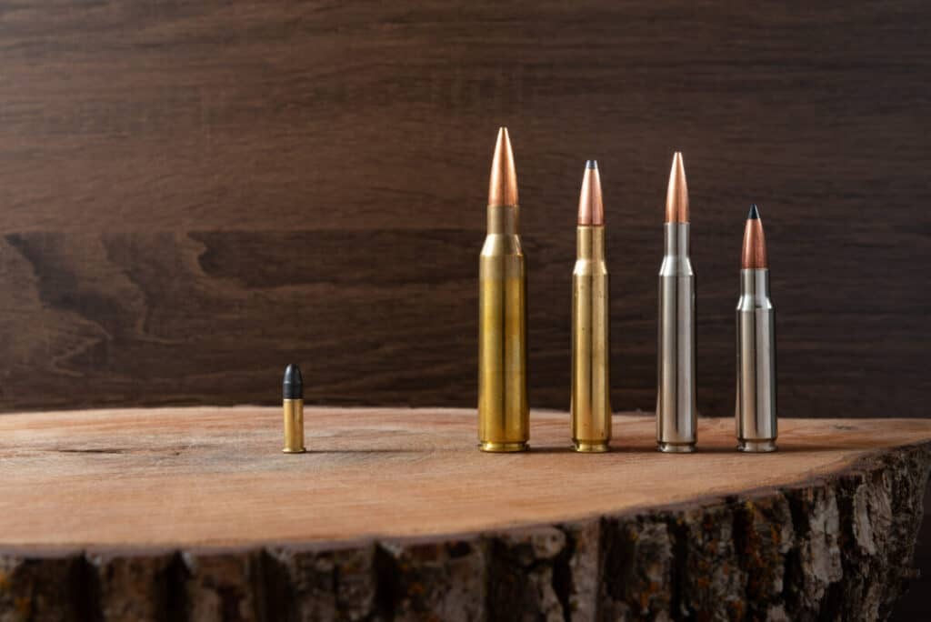 Rifle Cartridge Comparison: A visual guide showcasing various rifle cartridges side-by-side, emphasizing differences in size and shape for caliber comparison.