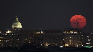 A supermoon rising above the horizon in Washington D.C., appearing larger and brighter than usual.