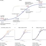 Comparison of logistic and Gompertz model fits for solar power deployment projections, highlighting differences in data accuracy.