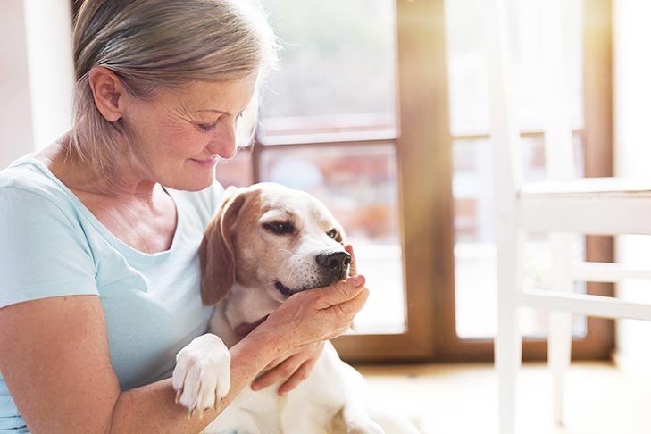 Senior beagle with owner holding a treat, illustrating the bond between humans and aging dogs.