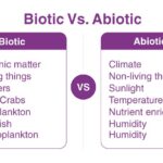 Biotic and Abiotic