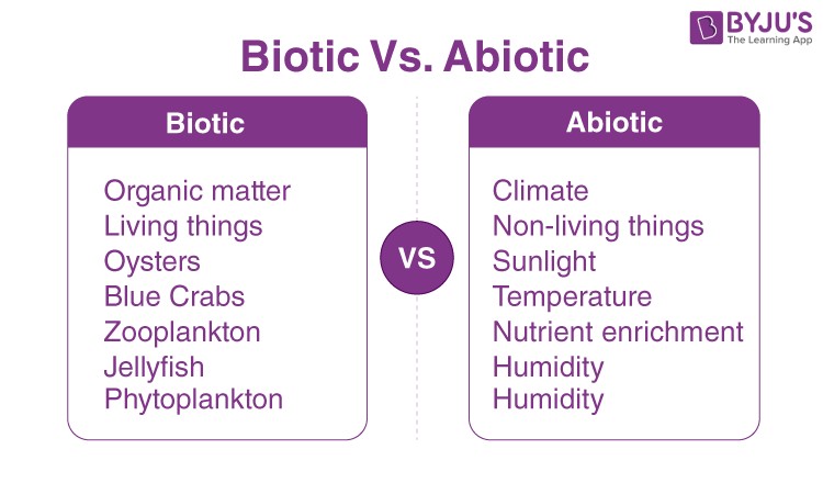 Biotic and Abiotic Factors in an Ecosystem: Biotic components like animals and plants interacting with abiotic components like sunlight and water, illustrating their interconnectedness.