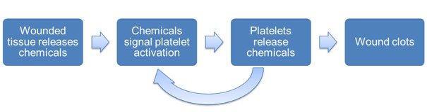 Blood Clotting