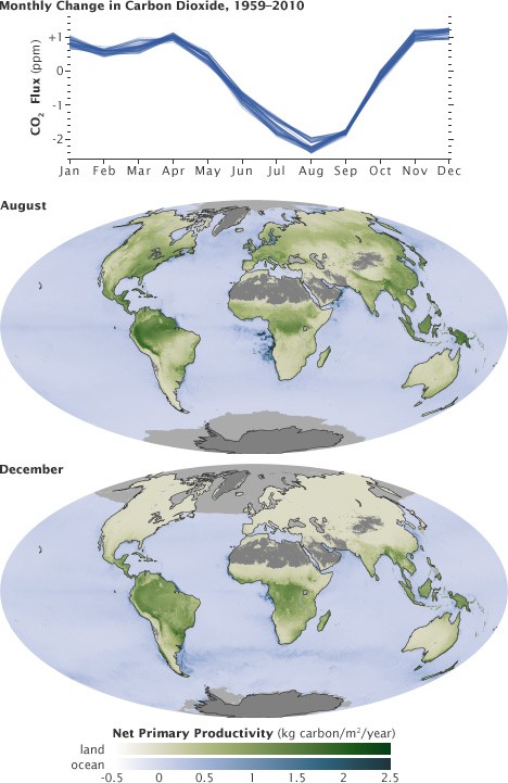 Maps of global net primary productivity in the land and ocean.