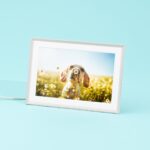 The Aura Carver digital photo frame displaying a dog smelling a flower in a field, showcasing its vivid display quality.