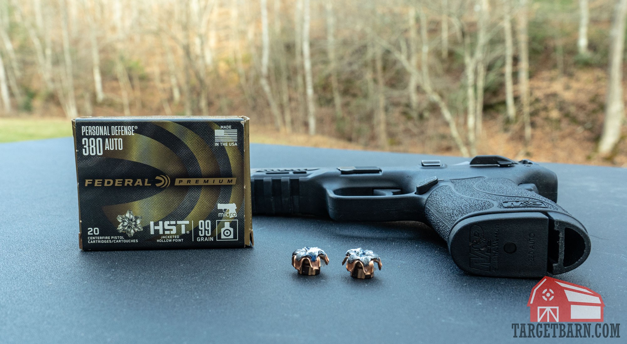 Federal Personal Defense HST .380 Expansion