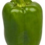 Illustration of green bell pepper, representing food aromas detectable at very low concentrations