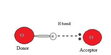 Diagram illustrating hydrogen bond donor and acceptor.