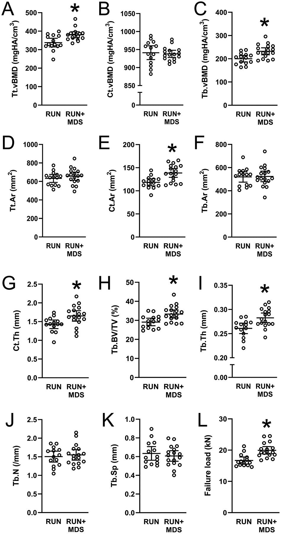 Distal tibia bone properties in RUN and RUN+MDS groups, showing differences in bone mineral density, area, thickness, volume fraction, number, spacing, and failure load.