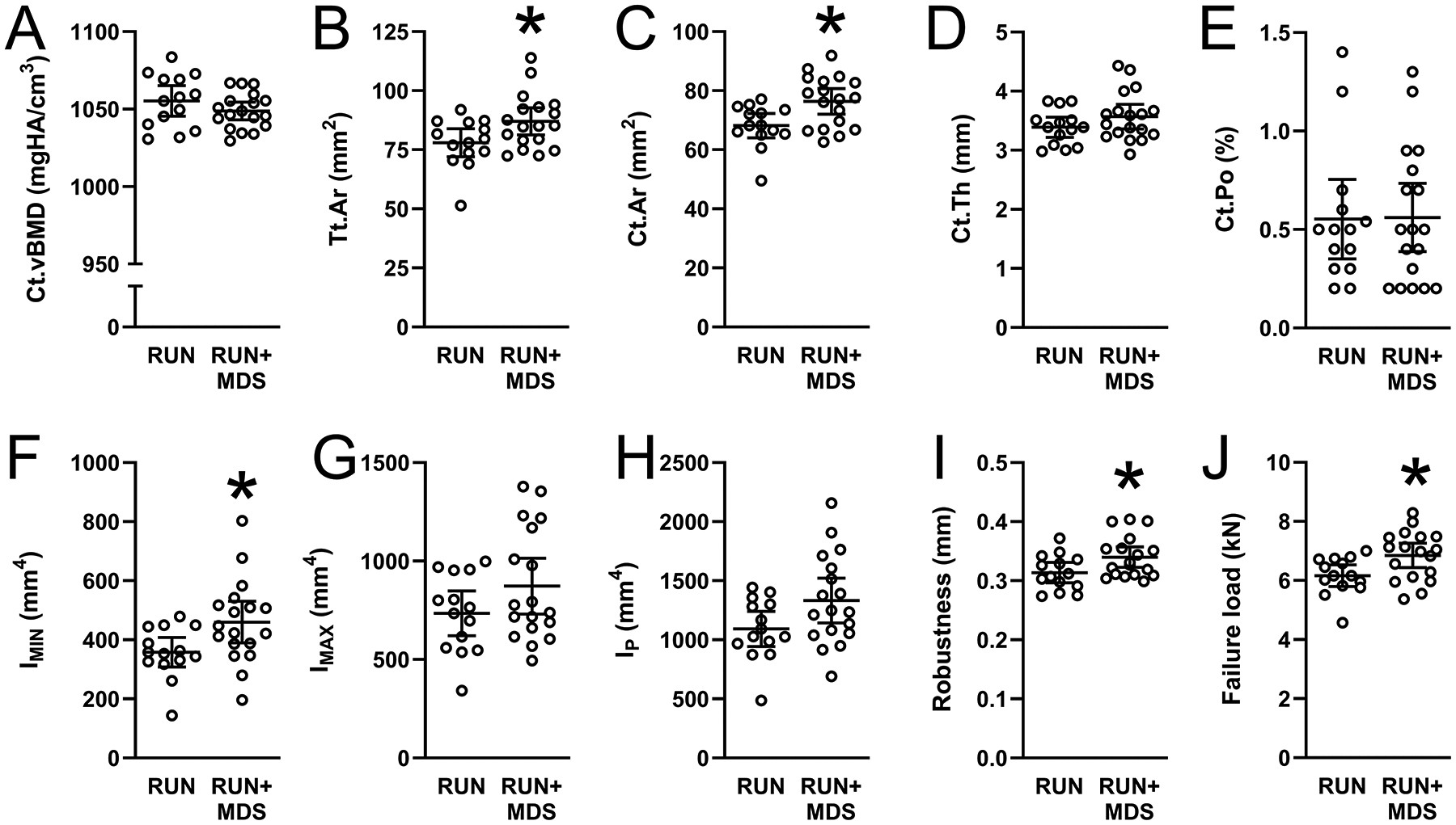 Fibula diaphysis bone properties in RUN and RUN+MDS groups, showing differences in bone mineral density, area, thickness, porosity, moment of inertia, robustness, and failure load.