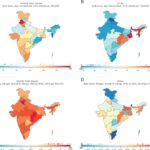 State-Level Variation in Age-Adjusted IHD and Stroke Mortality Rate and DALYs per 100,000 People in India Between 1990 and 2016