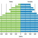 North Korea Population Pyramid 2008, illustrating demographic structure in a country with land size comparable to the US state of Pennsylvania