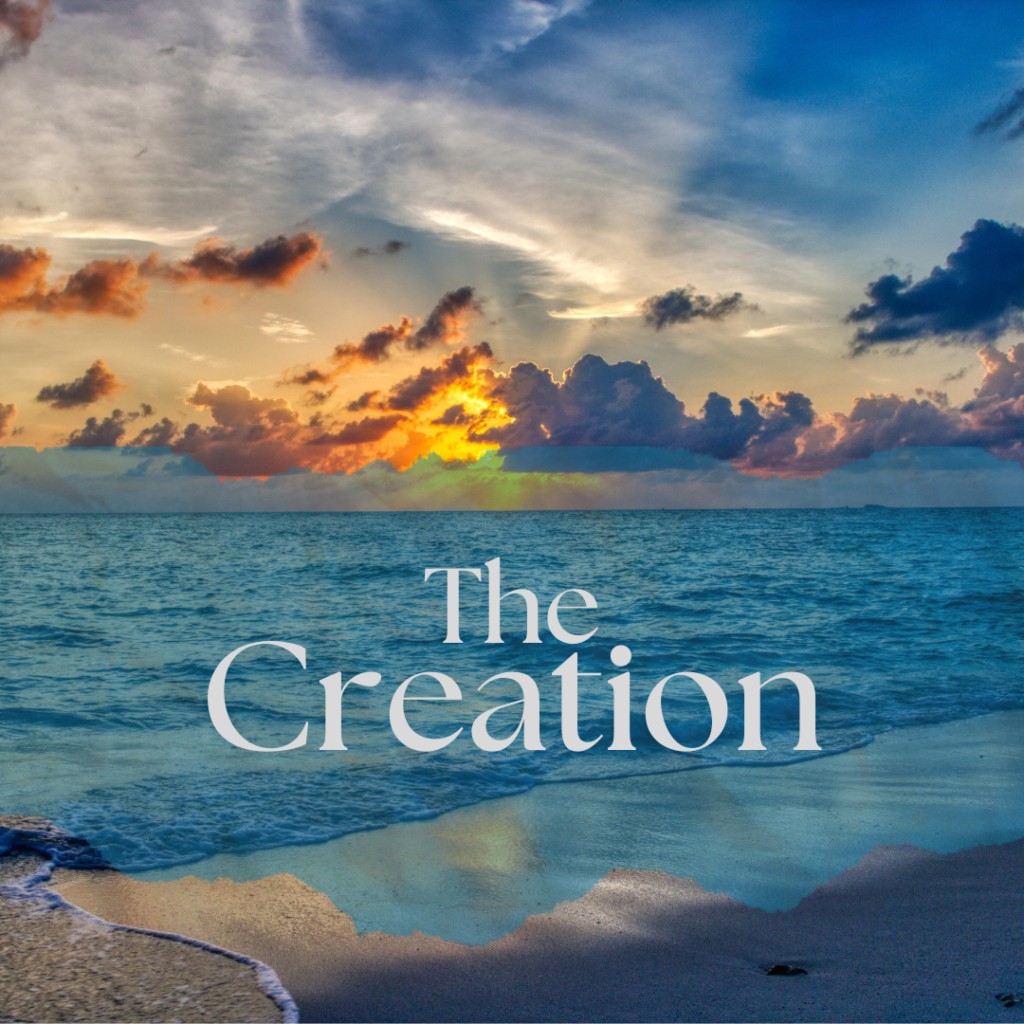 The Creation