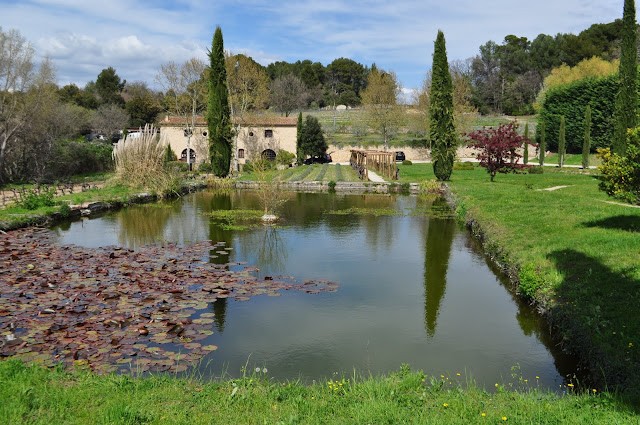 Pool at Château la Canorgue and view toward current tasting room