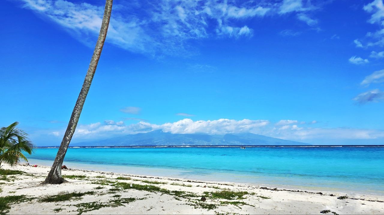 Iconic Temae Beach and lagoon, Moorea, with Tahiti in the distance. Public beaches in French Polynesia can be surprisingly difficult to access compared to Hawaii