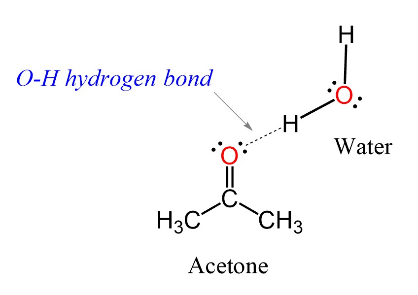 Acetone Water Hydrogen Bond