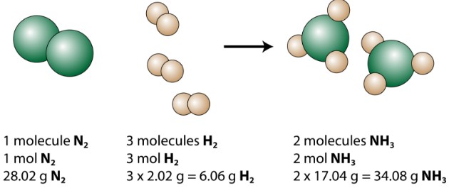 Illustration of a chemical reaction showing nitrogen and hydrogen molecules forming ammonia. Depicts 1 N₂ molecule combining with 3 H₂ molecules to form 2 NH₃ molecules, with masses noted.