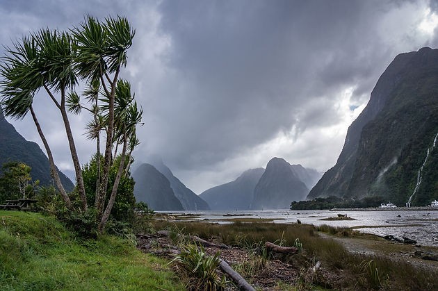 Milford Sound fjord in New Zealand