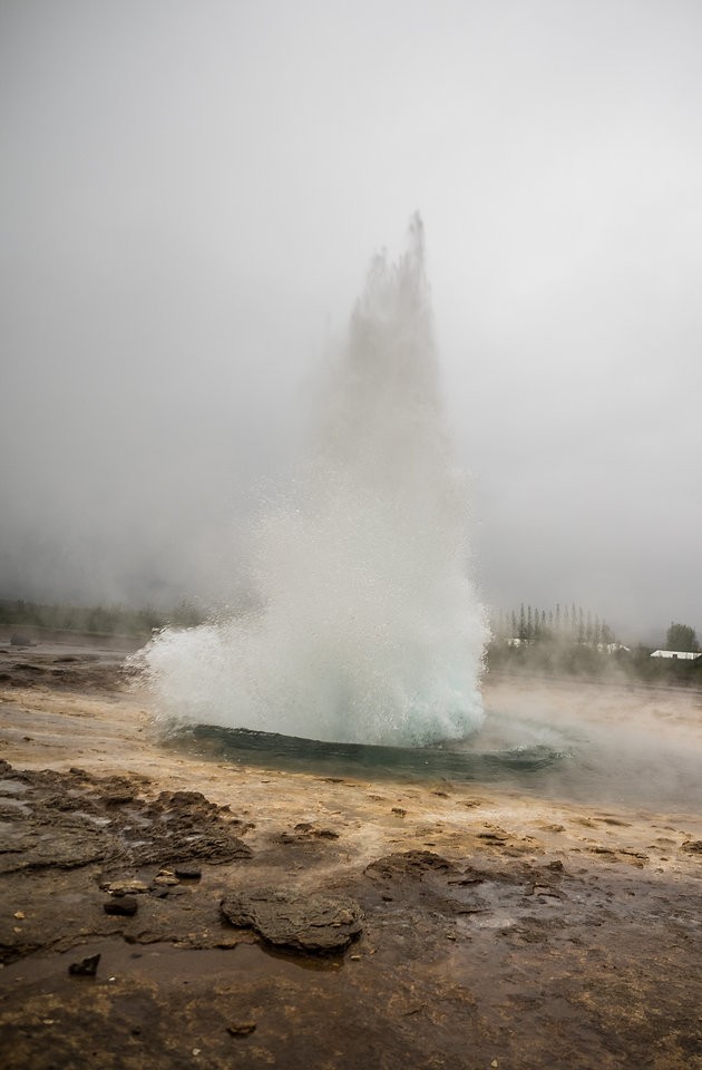 Geyser in Iceland