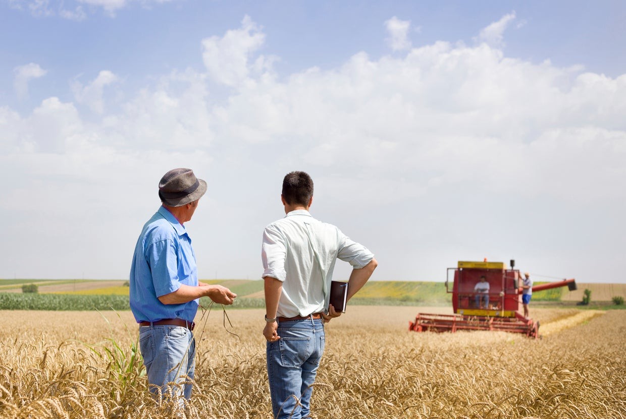Farmer in field with tractor