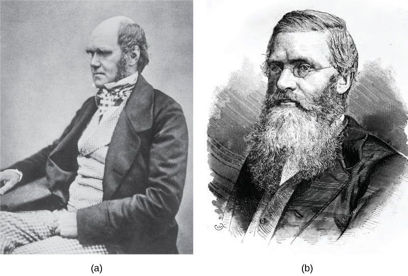 Charles Darwin and Alfred Wallace