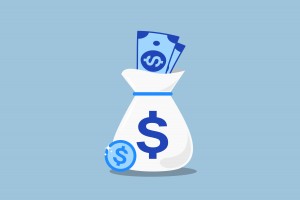 Cotton vs. Microfiber Price