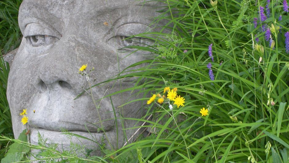 Mother Earth Nurturing Life