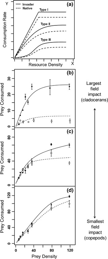 Hemimysis anomala comparison framework