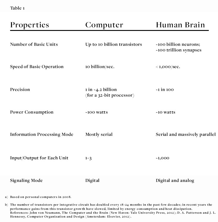 brain cell connections