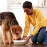 Blue Buffalo Dog Food History