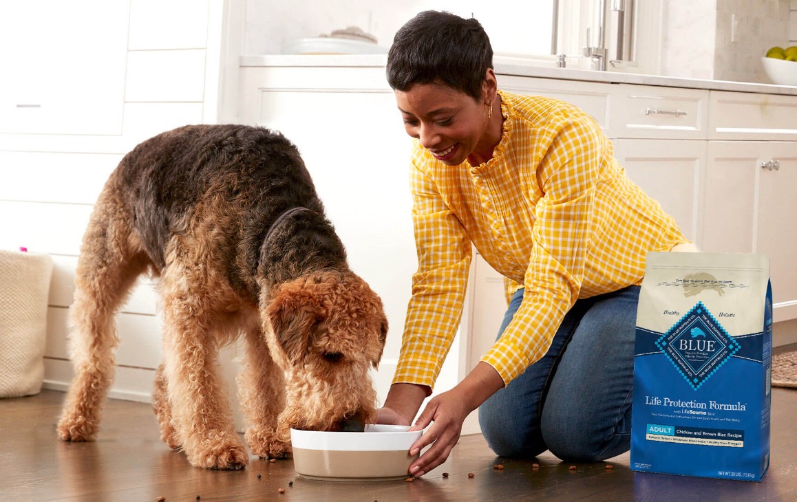 Blue Buffalo Dog Food History