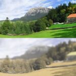 Human vision vs. animal vision
