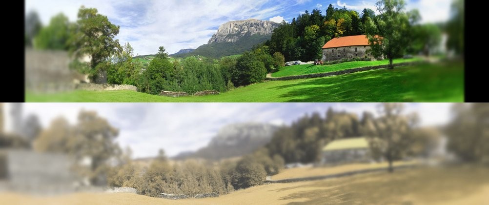 Human vision vs. animal vision