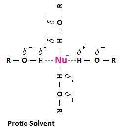 Hydrogen bonds with protic solvent