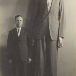blog_5-10-18_Wadlow_292x500