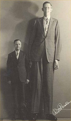 blog_5-10-18_Wadlow_292x500
