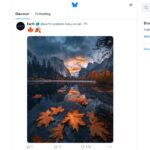 Bluesky social media Discover feed screenshot