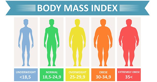 Adult BMI Chart