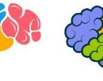 Illustration of human and animal brains, highlighting size differences and complexity
