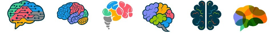 Illustration of human and animal brains, highlighting size differences and complexity