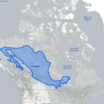 Map of North America showing the relative sizes of Canada and Mexico