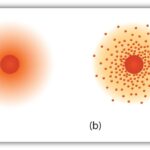 Acid Base Strengths
