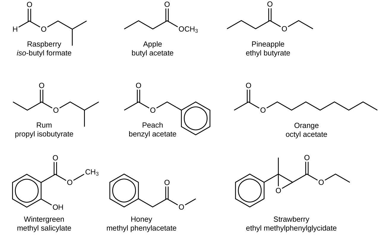 Esters are responsible for the odors associated with various plants and their fruits