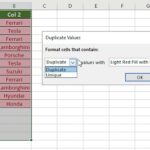 Highlight Duplicate Values in Excel