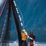 Fishermen on a boat using a pulley to pull in their net, illustrating a real-world application where a pulley system provides a mechanical advantage and changes the direction of force, making it easier to haul heavy loads.