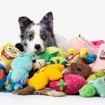 A dog with a lot of snuggly toys