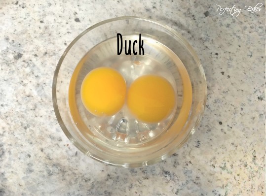 Duck Yolks