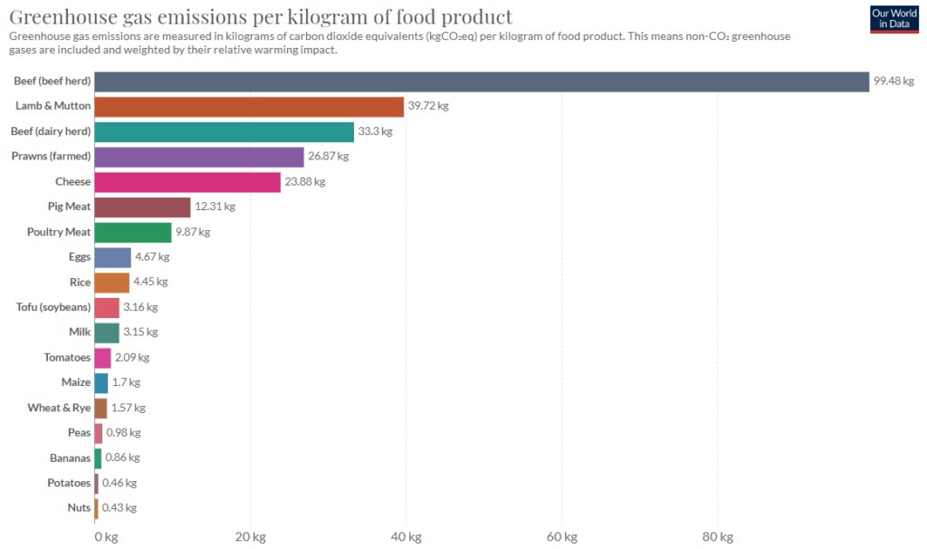 Environmental Impact of Protein
