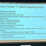 Y-DNA and Family Finder testing benefits and features, including haplogroups, ethnicity estimates, and chromosome browsers