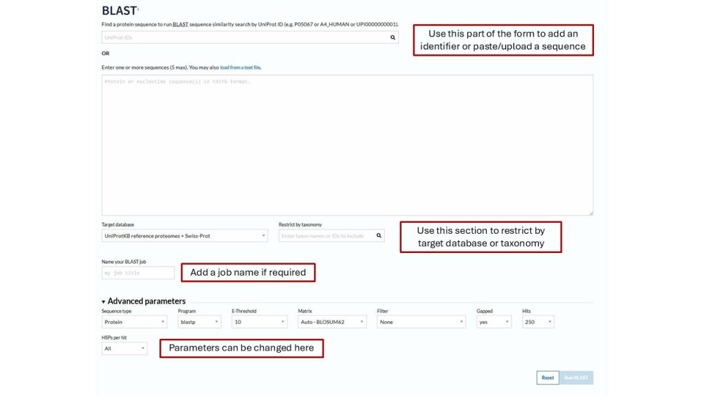 BLAST Input Page